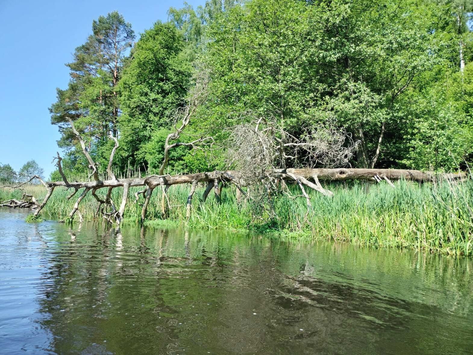 Cytaty, które kształtują moje myślenie